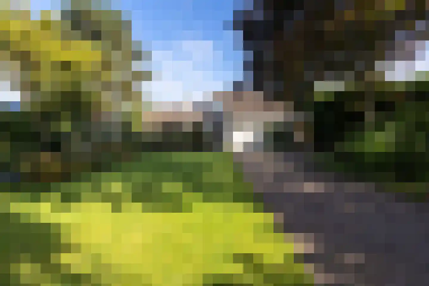 Meerweg 20 Kropswolde thumbnail 43