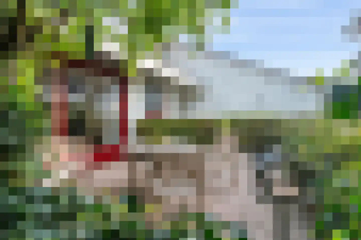 Meerweg 20 Kropswolde thumbnail 47