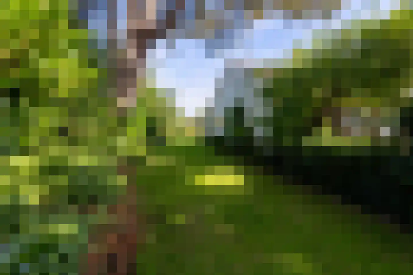 Meerweg 20 Kropswolde thumbnail 48
