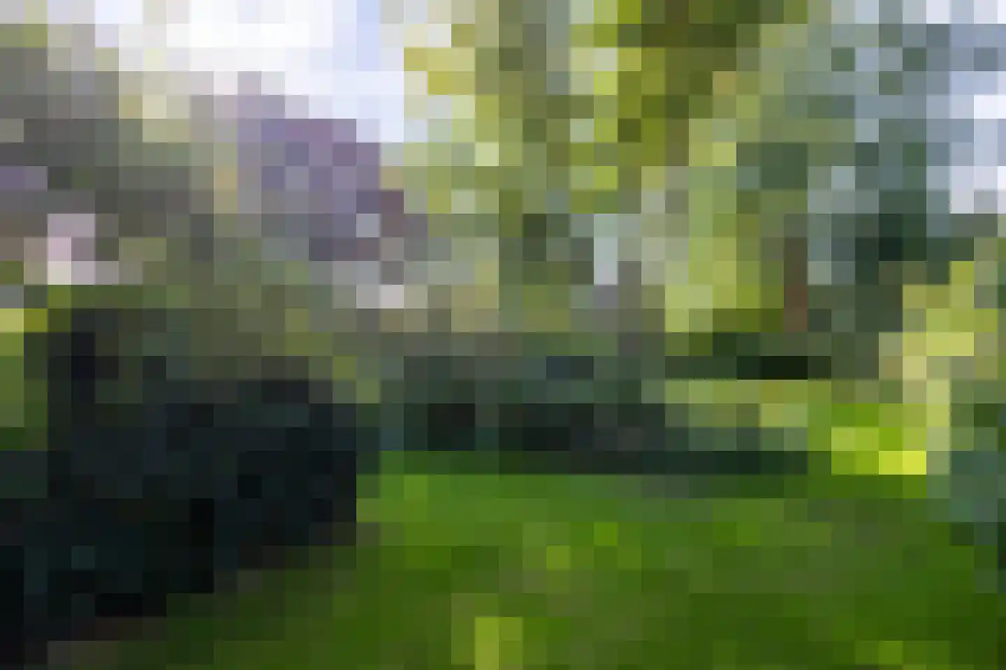Meerweg 20 Kropswolde thumbnail 49