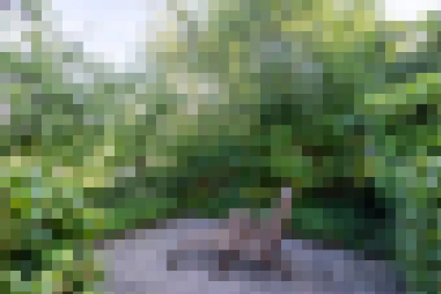 Meerweg 20 Kropswolde thumbnail 56