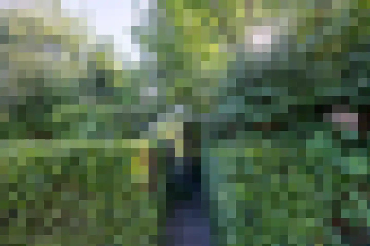 Meerweg 20 Kropswolde thumbnail 57