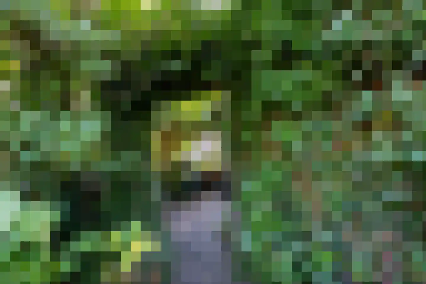 Meerweg 20 Kropswolde thumbnail 58