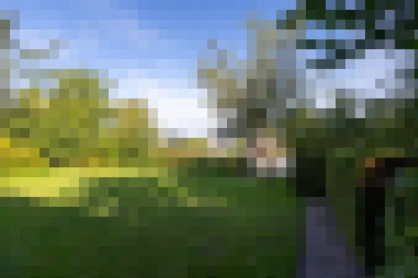Meerweg 20 Kropswolde thumbnail 59