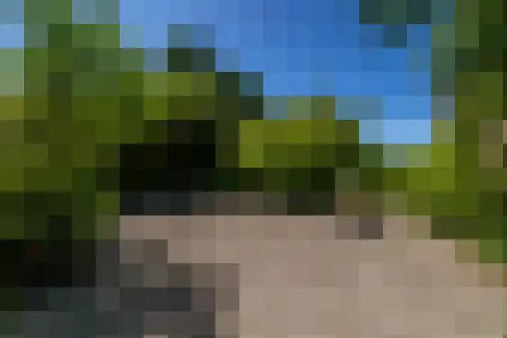 Meerweg 207 a 3 Haren Gn thumbnail 19