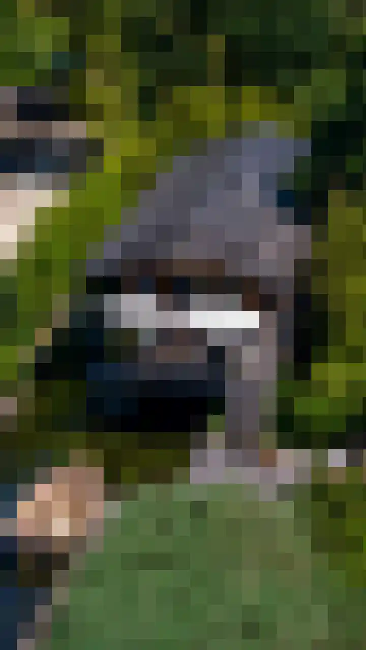 Meerweg 207 a 3 Haren Gn thumbnail 21