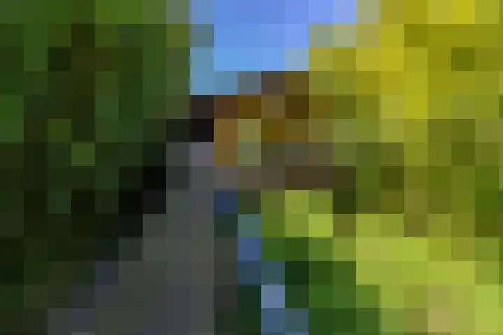 Meerweg 207 a 3 Haren Gn thumbnail 7