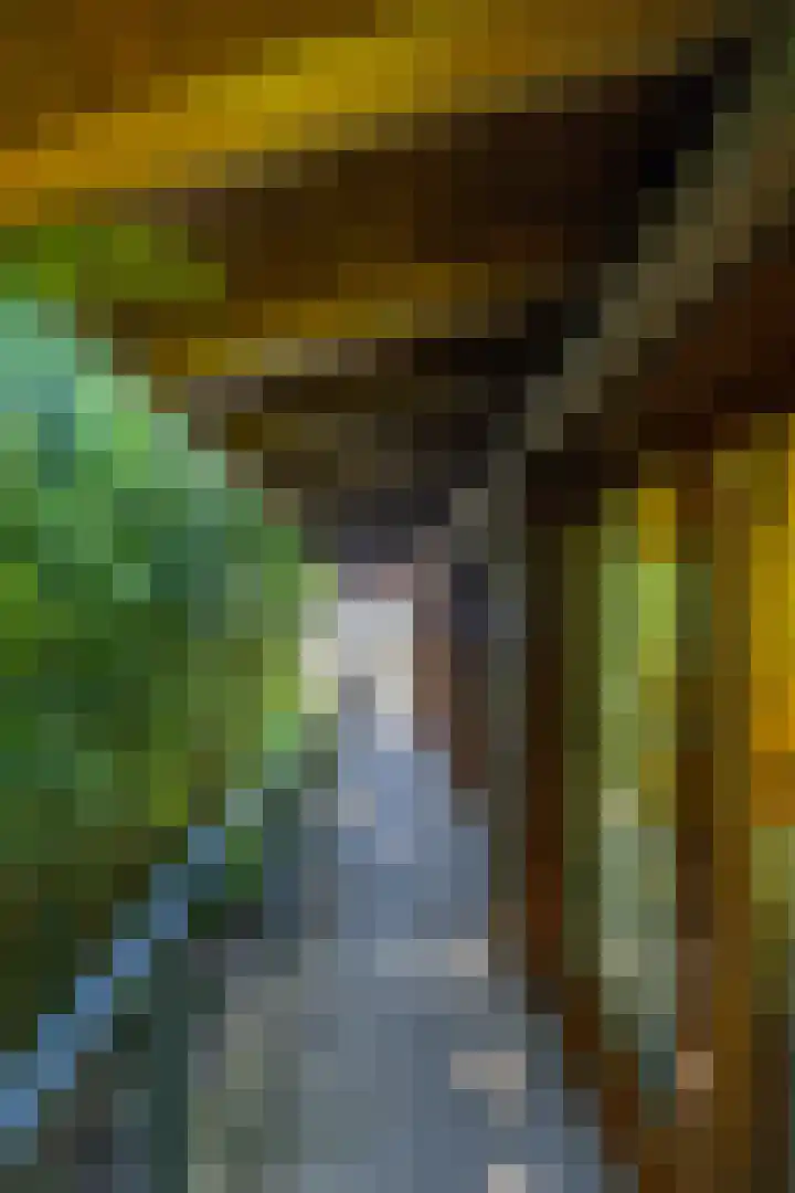 Meerweg 207 a 3 Haren Gn thumbnail 8