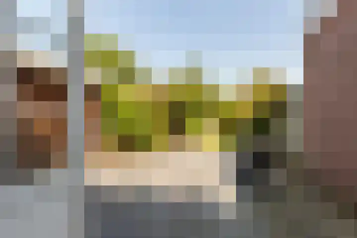 Meerweg 21 Heemstede thumbnail 21