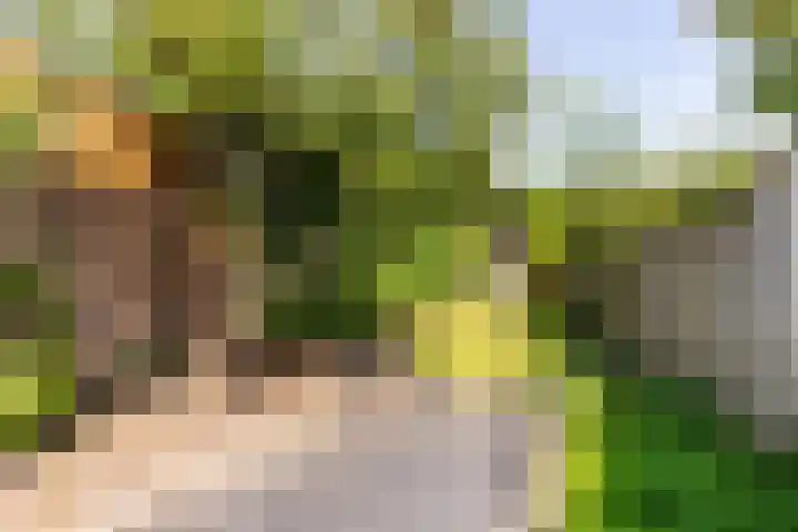 Meerweg 21 Heemstede thumbnail 22