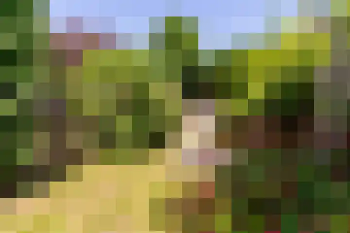 Meerweg 21 Heemstede thumbnail 23
