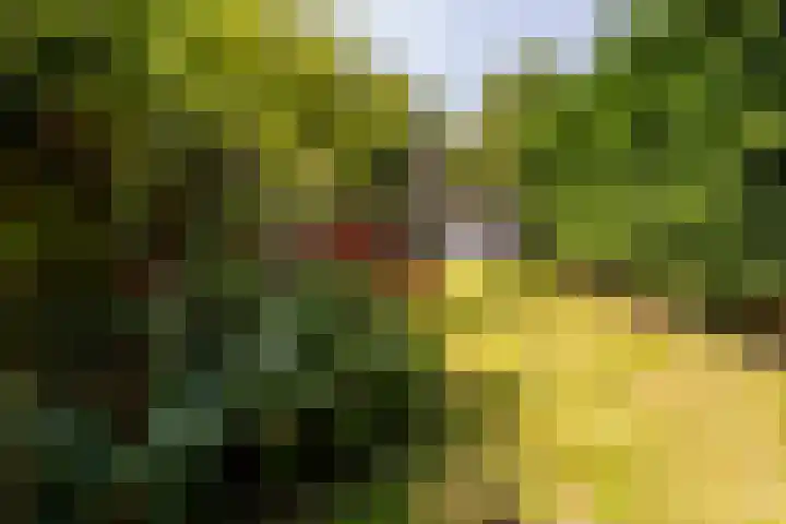 Meerweg 21 Heemstede thumbnail 24