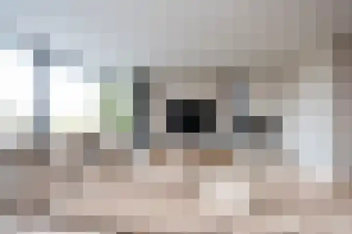 Meerweg 28 Berkel en Rodenrijs thumbnail 24
