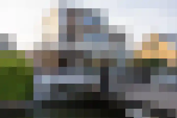 Meerweg 28 Berkel en Rodenrijs thumbnail 6