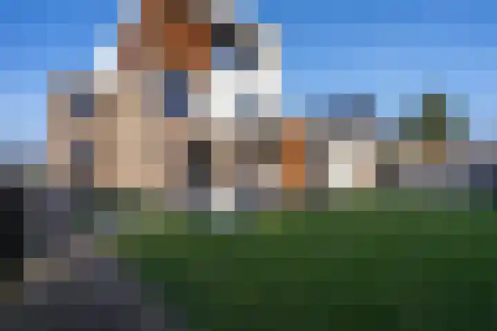 Meerweg 28 Berkel en Rodenrijs thumbnail 68