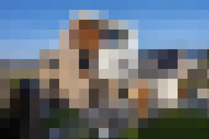 Meerweg 28 Berkel en Rodenrijs thumbnail 81