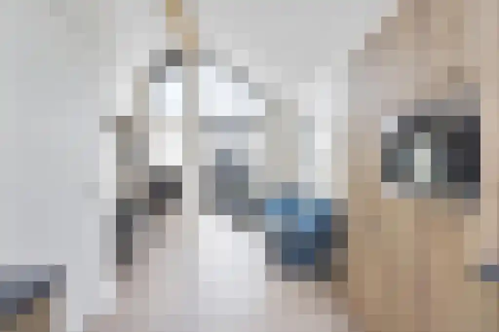 Meerweg 29 Stavoren thumbnail 9