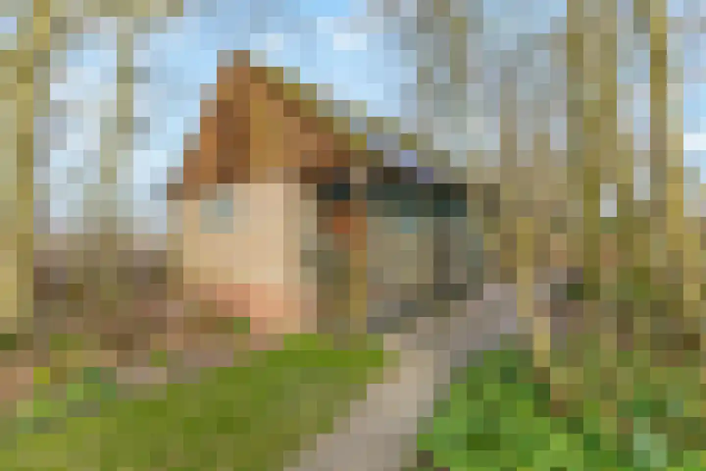 Meerweg 32 Breezand thumbnail 28