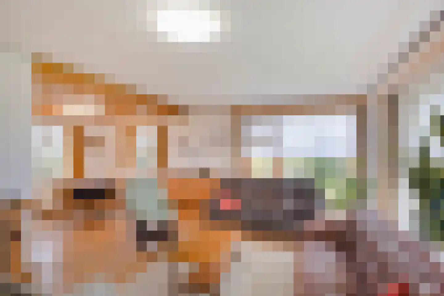 Meerweg 32 Breezand thumbnail 9