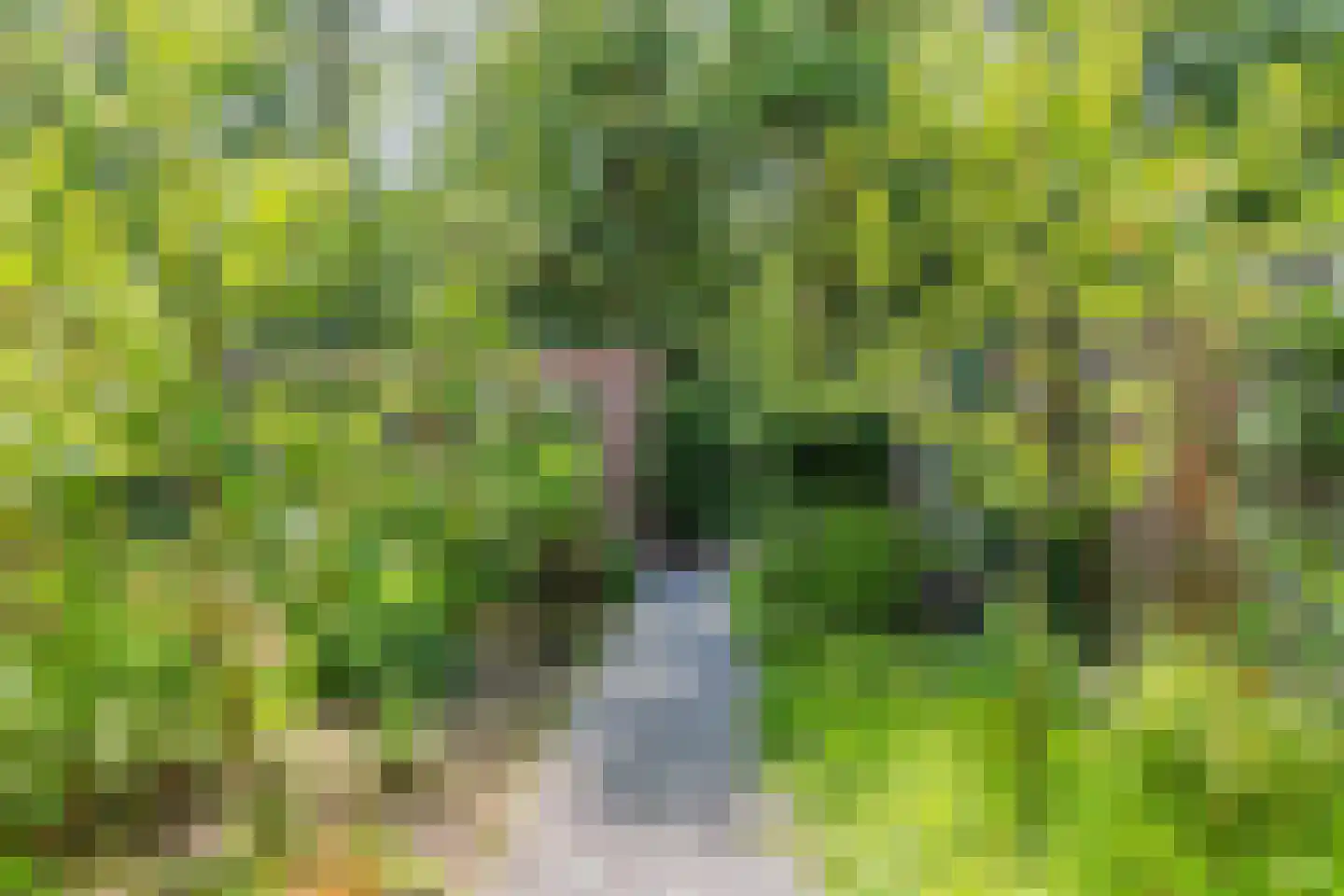 Meerweg 35 A Rutten thumbnail 37