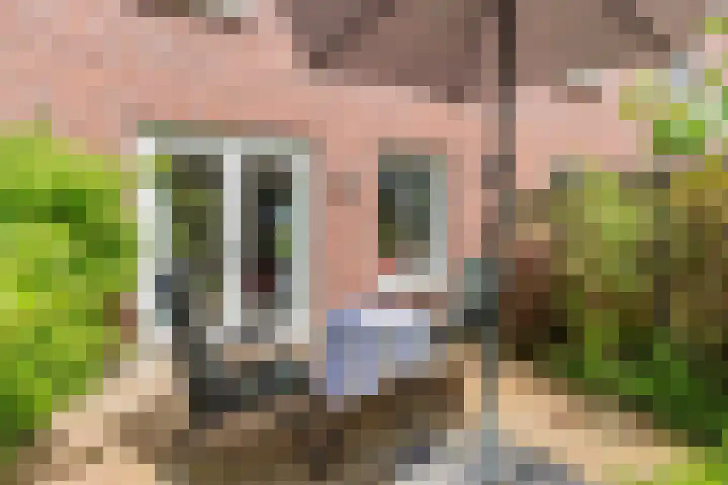 Meerweg 35 A Rutten thumbnail 38