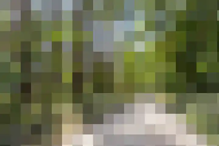 Meerweg 35 Kronenberg thumbnail 36