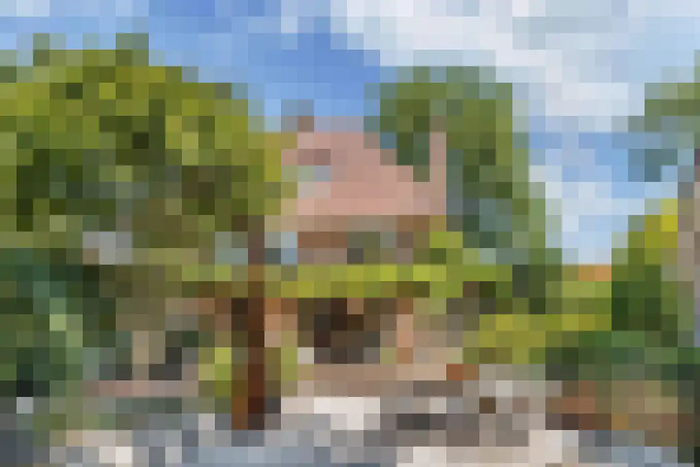 Meerweg 39 Bussum