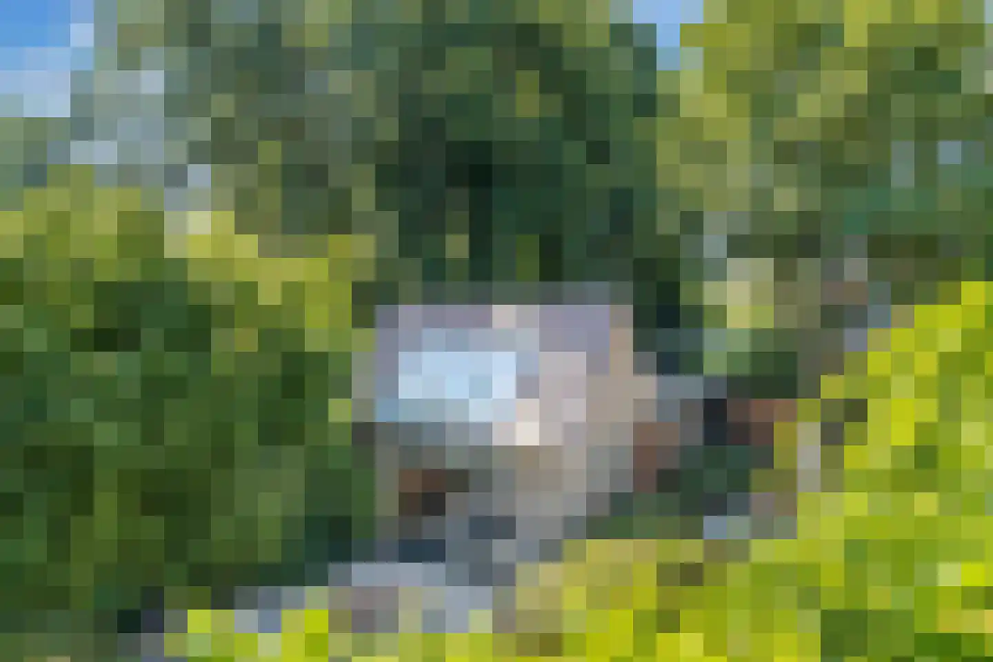 Meerweg 39 Bussum thumbnail 35