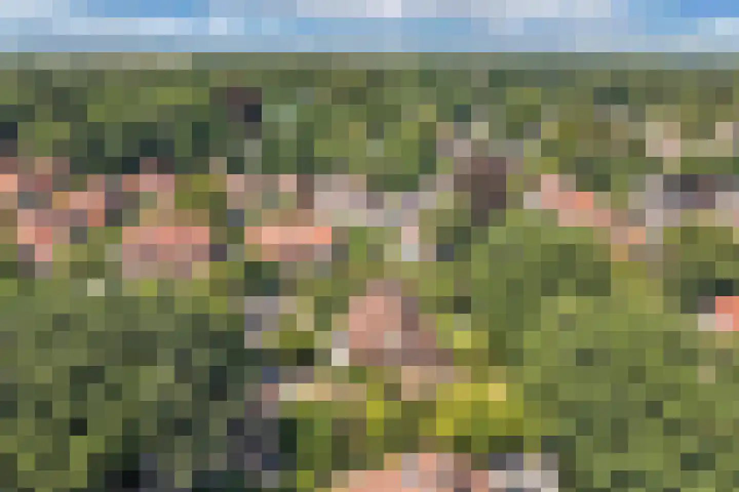 Meerweg 39 Bussum thumbnail 5