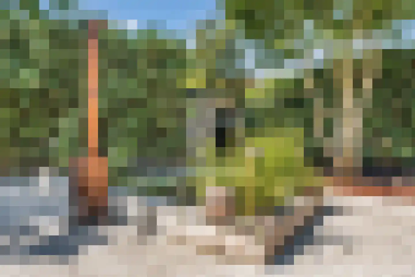 Meerweg 39 Bussum thumbnail 54