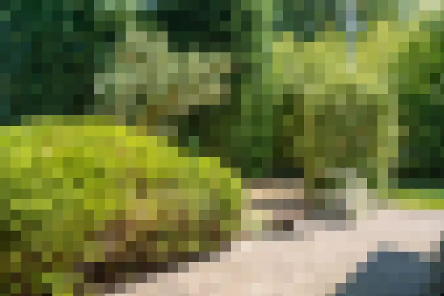 Meerweg 39 Bussum thumbnail 58