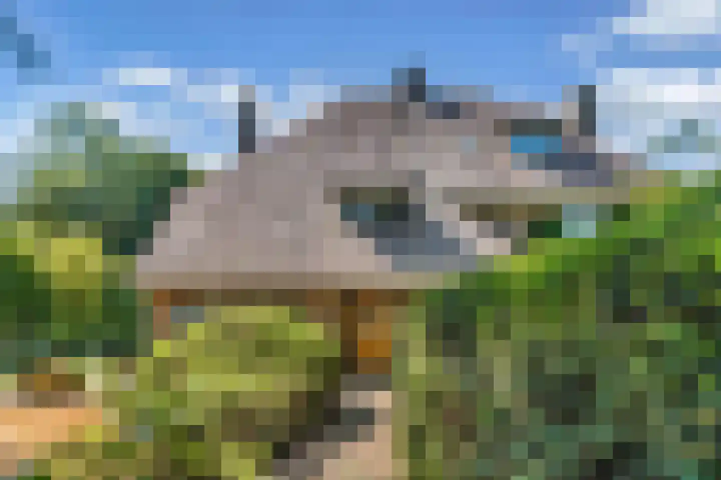 Meerweg 39 Bussum thumbnail 6