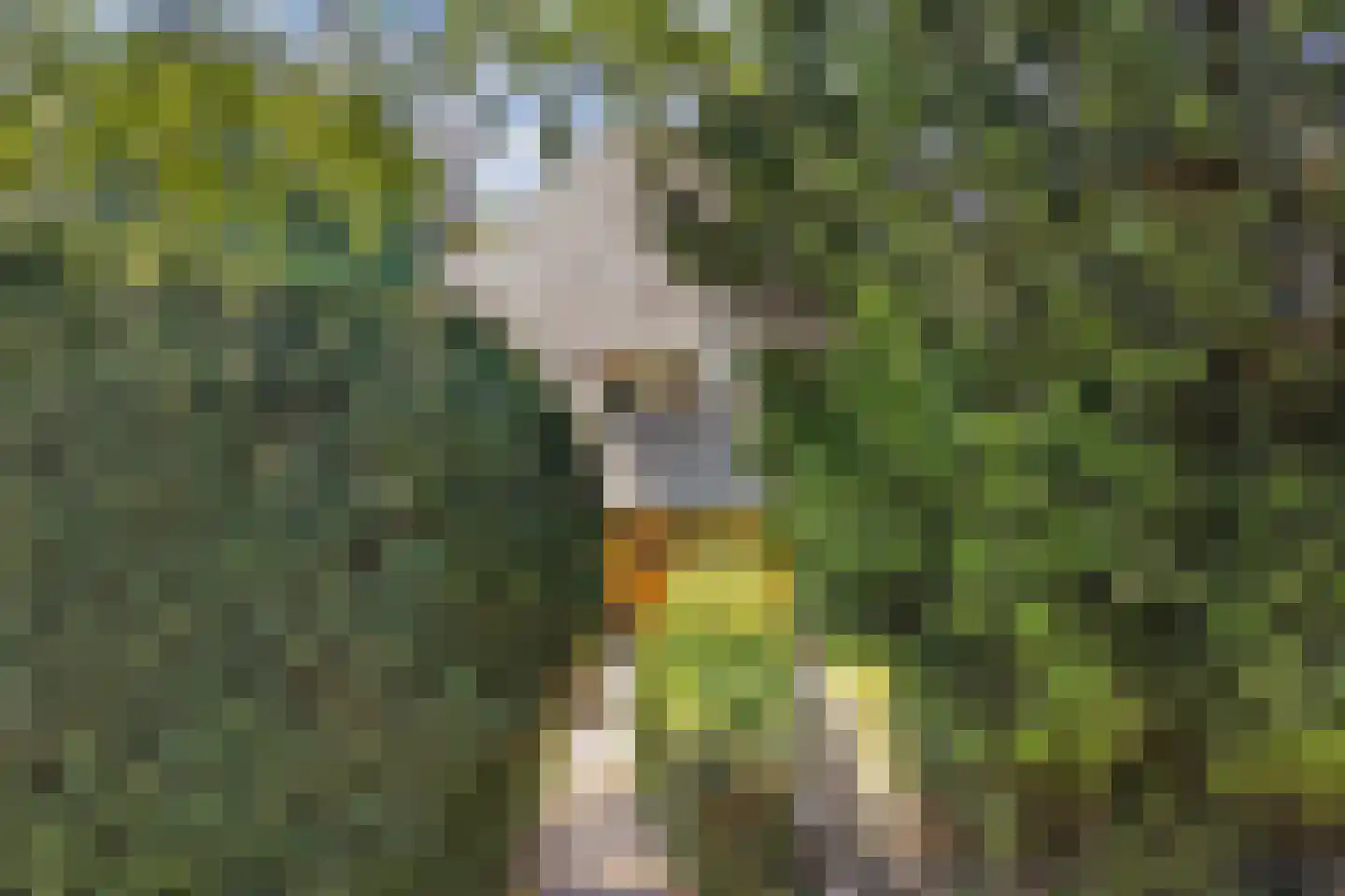 Meerweg 39 Bussum thumbnail 7