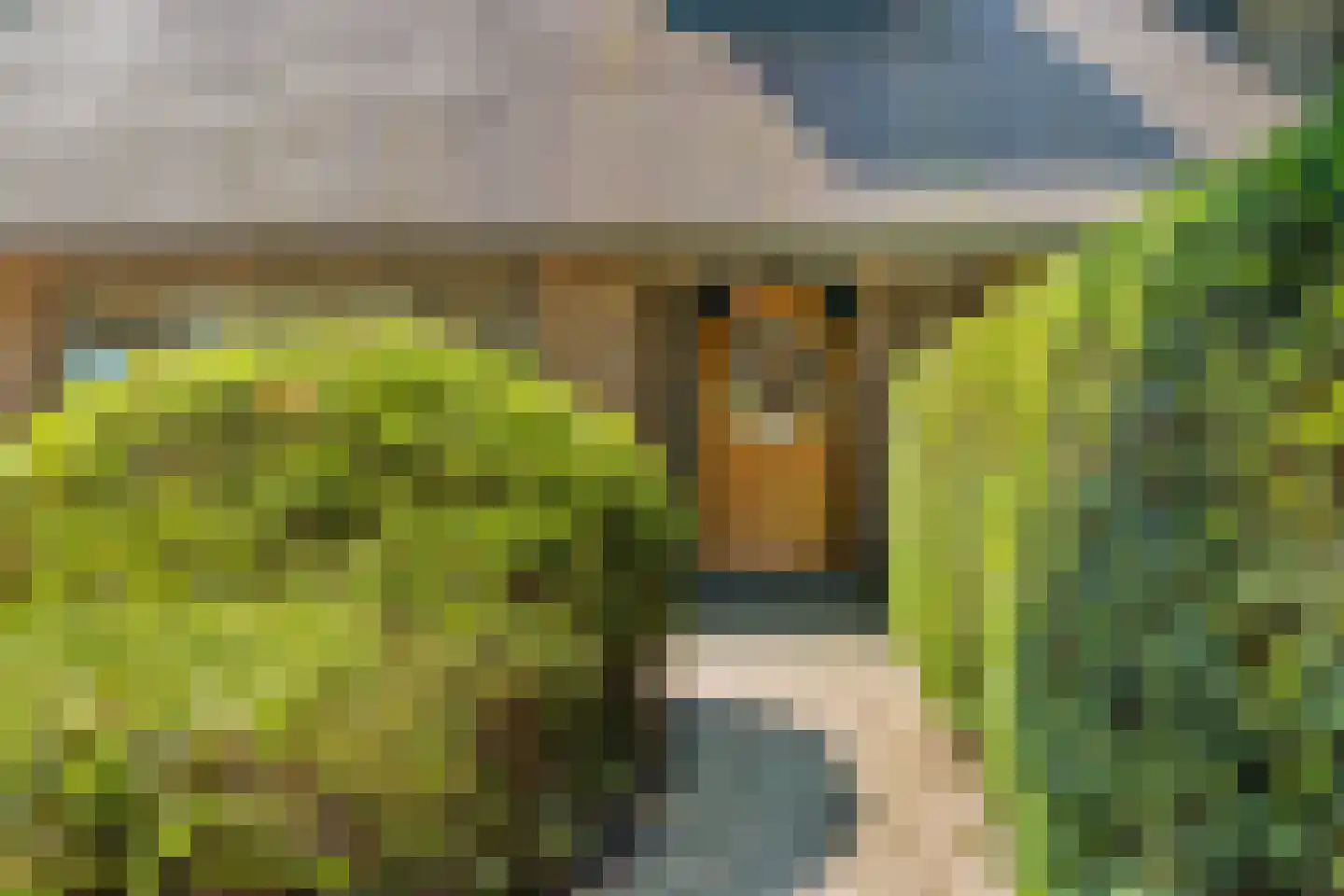Meerweg 39 Bussum thumbnail 8