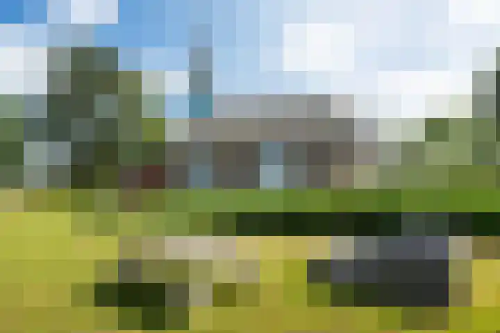 Meerweg 4 Allingawier thumbnail 11