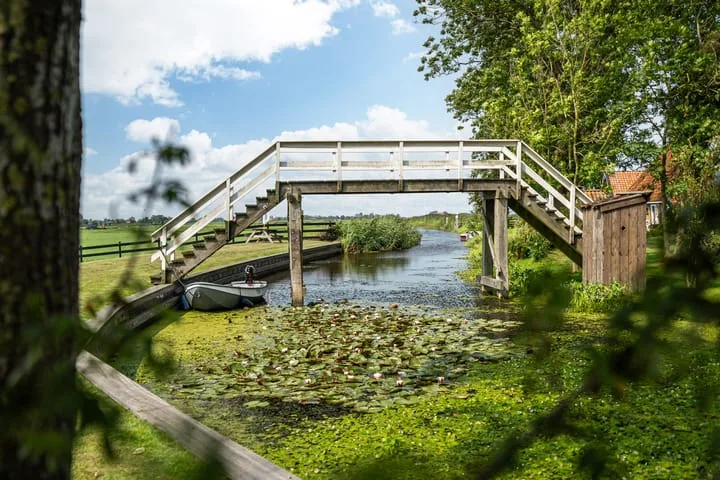 Meerweg 4 Allingawier thumbnail 12
