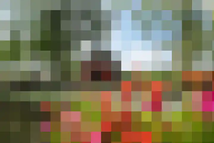 Meerweg 4 Allingawier thumbnail 16