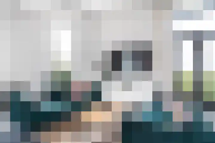 Meerweg 4 Allingawier thumbnail 34