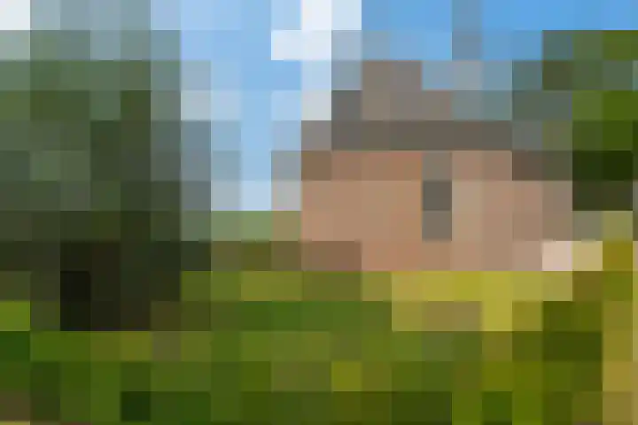 Meerweg 4 Allingawier thumbnail 60