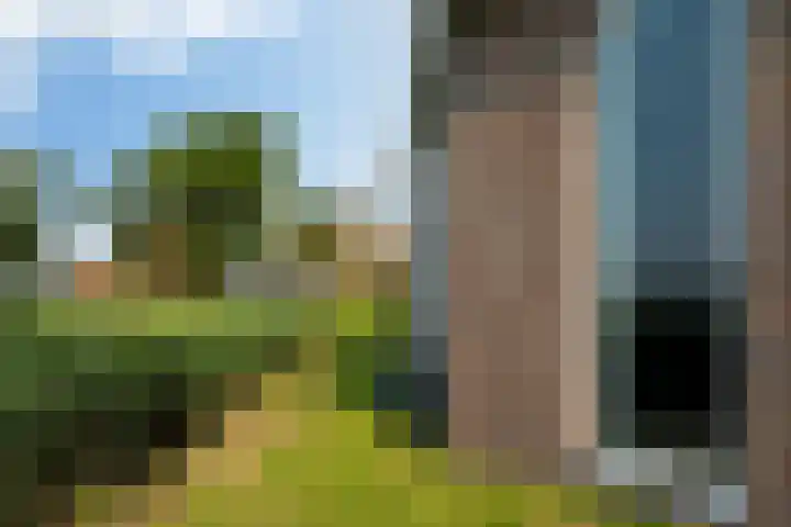 Meerweg 4 Allingawier thumbnail 61