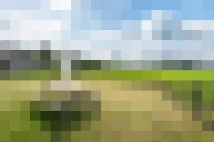 Meerweg 4 Allingawier thumbnail 62