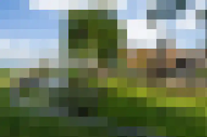 Meerweg 4 Allingawier thumbnail 67