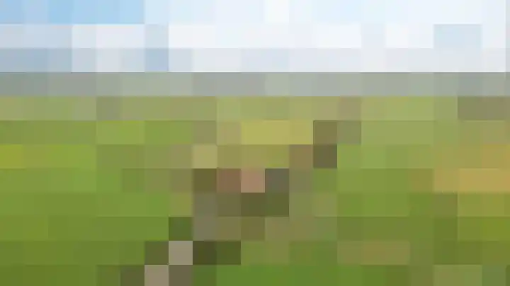 Meerweg 4 Allingawier thumbnail 70
