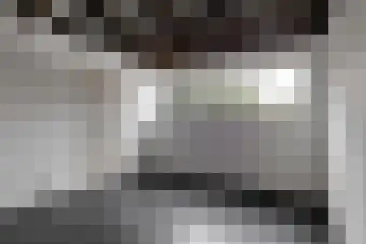 Meerweg 4 Bergen (NH) thumbnail 23