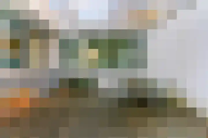Meerweg 4 Bergen (NH) thumbnail 41