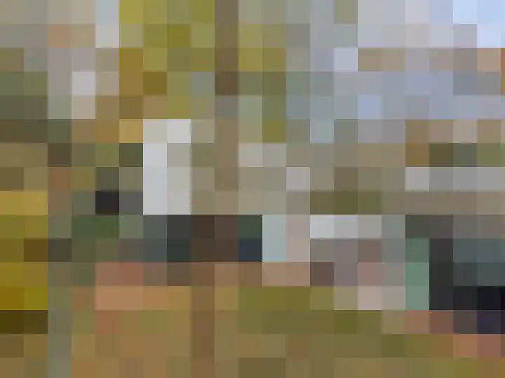 Meerweg 4 Bergen (NH) thumbnail 52