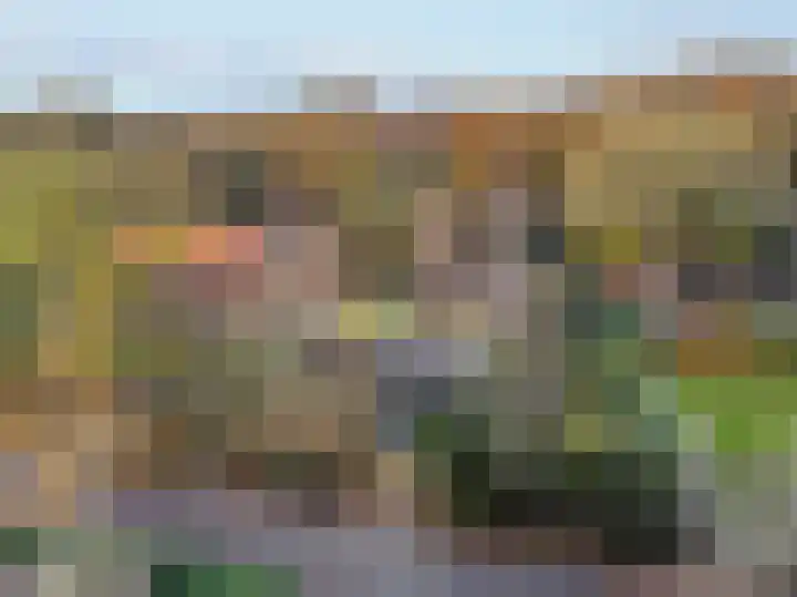 Meerweg 4 Bergen (NH) thumbnail 7