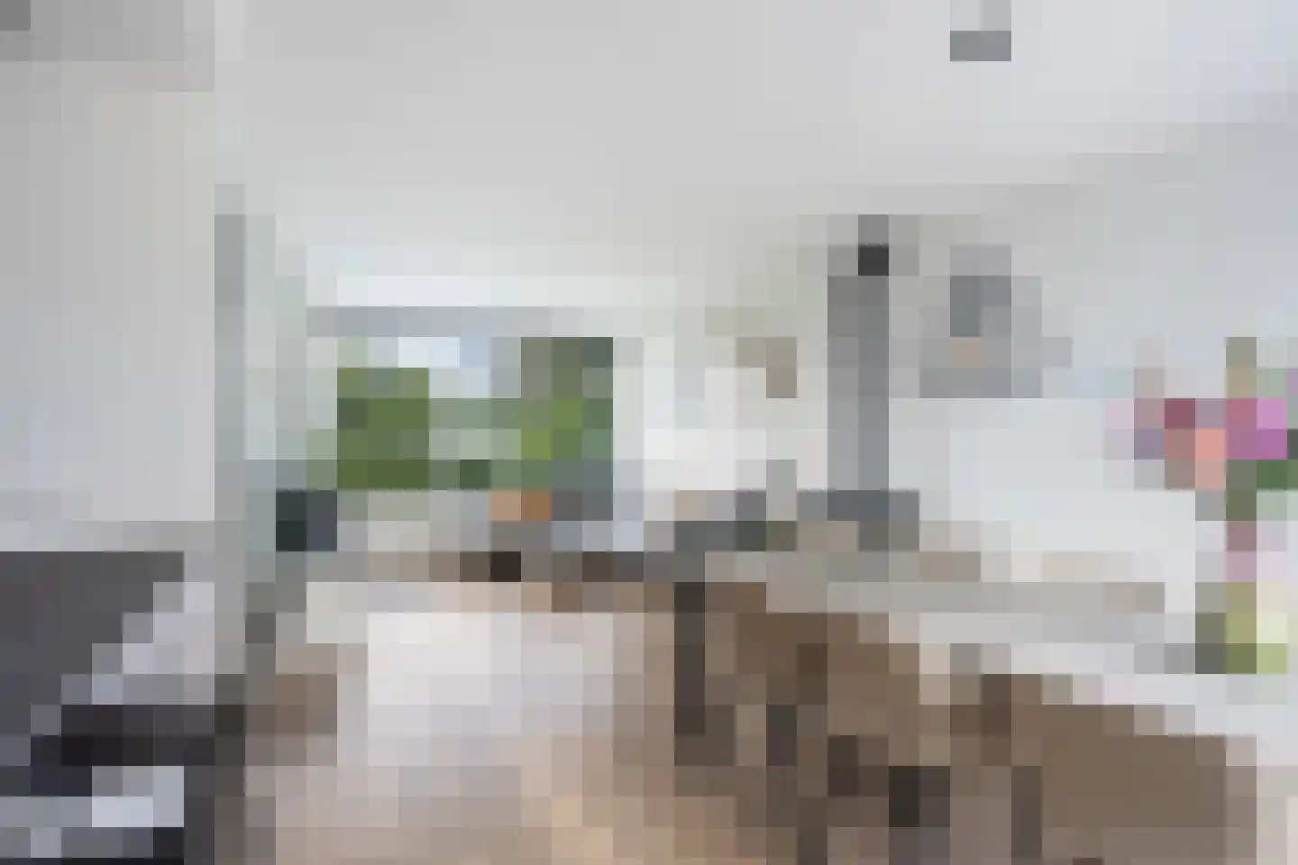 Meerweg 4 Berkel en Rodenrijs thumbnail 16