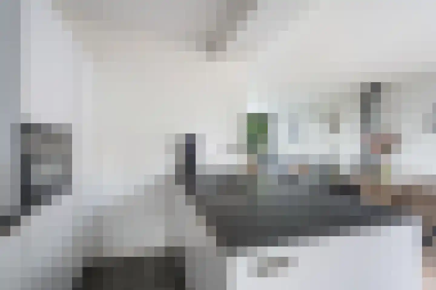 Meerweg 4 Berkel en Rodenrijs thumbnail 18