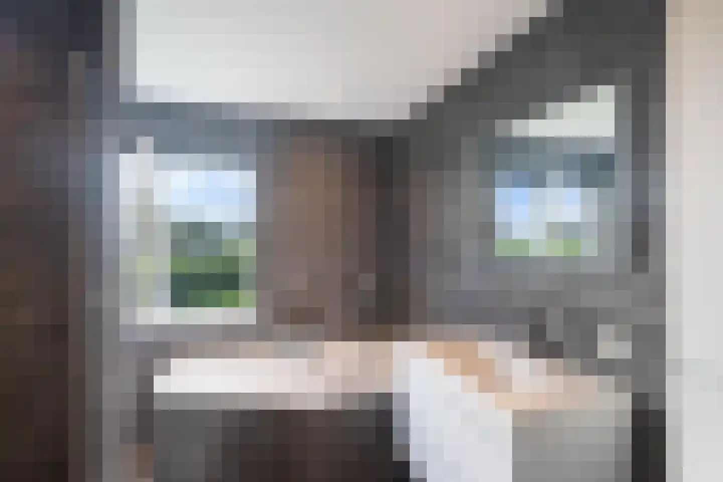 Meerweg 4 Berkel en Rodenrijs thumbnail 31